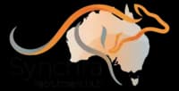 synchra logo logo